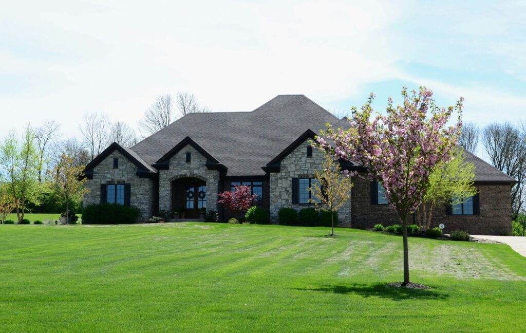 a house with a tree in the front yard